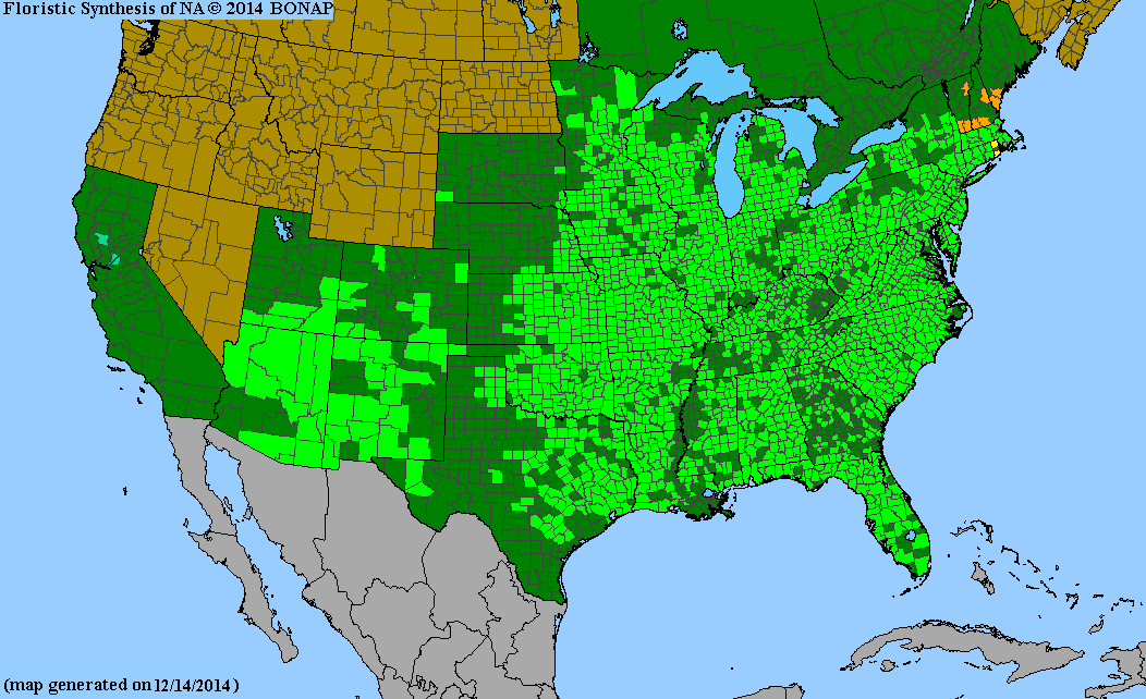 County distribution map of Asclepias tuberosa - Butterfly Milkweed